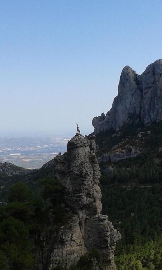 La Casa Del Canal Roquetes Εξωτερικό φωτογραφία